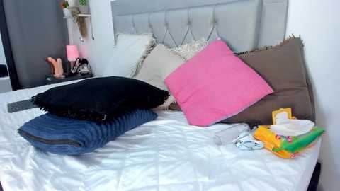 Media: idaly_johnson Stripchat 2024-11-14 12:50:00