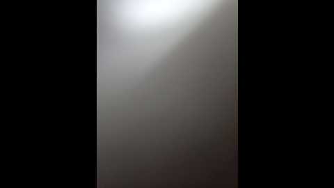 Media: janhvi_ Stripchat 2024-11-14 07:02:00