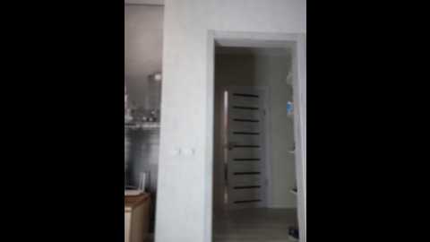 Media: jasmina0001 Stripchat 2024-11-14 04:12:00