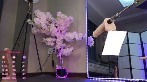 Media: marry_cordy Stripchat 2024-11-14 15:44:00