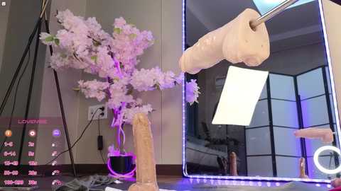 Media: marry_cordy Stripchat 2024-11-14 17:49:00