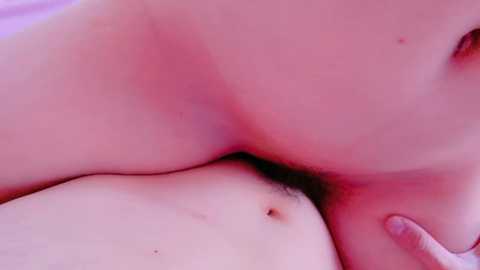 Media: nonchan_ Stripchat 2024-11-14 17:13:00