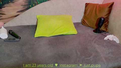Media: pinkypupa_love Stripchat 2024-11-14 00:58:00