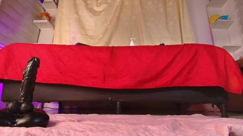 Media: emyli_sw_ Stripchat 2024-11-15 08:15:00