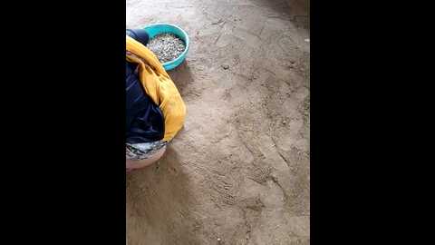 Media: indiankanak Stripchat 2024-11-16 04:37:00