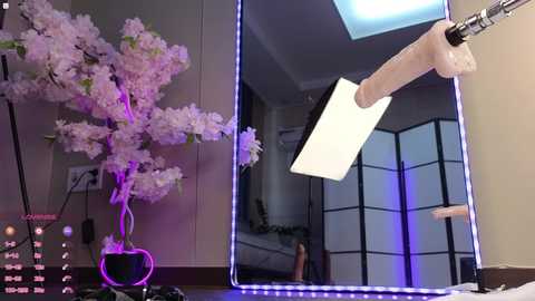 Media: marry_cordy Stripchat 2024-11-16 06:38:00