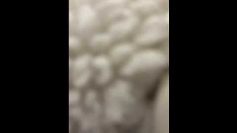 Media: _angelari_ Stripchat 2024-11-17 12:45:00