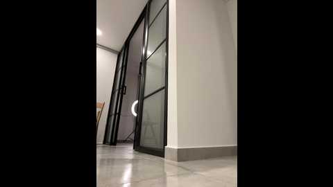 Media: brunettexio Stripchat 2024-11-17 07:34:00