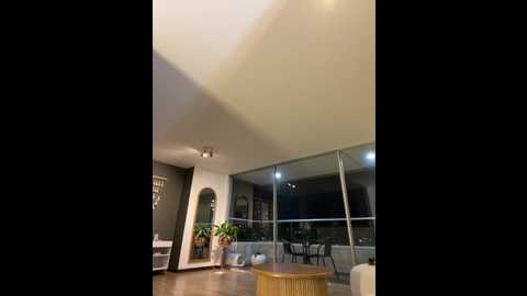 Media: irish_collins Stripchat 2024-11-17 01:58:00