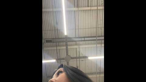 Media: tisha_busty Stripchat 2024-11-17 17:14:00