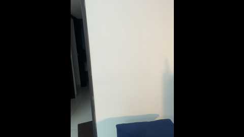 Media: brendacrean Stripchat 2024-11-18 11:14:00