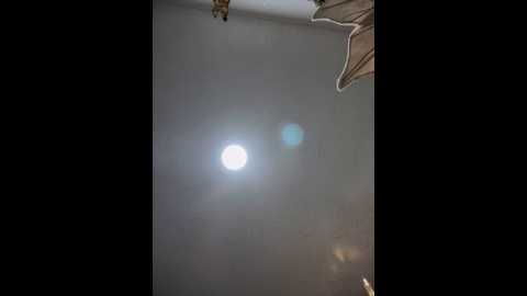 Media: carolina__star Stripchat 2024-11-18 02:57:00