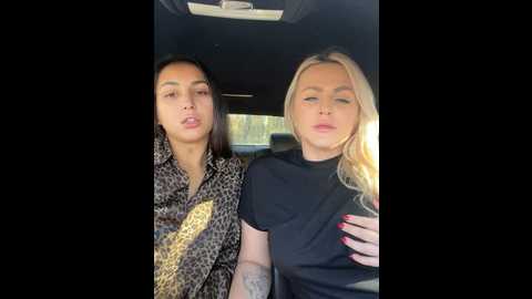 Media: keep_us_wild Stripchat 2024-11-18 04:21:00