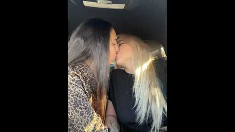 Media: keep_us_wild Stripchat 2024-11-18 04:26:00