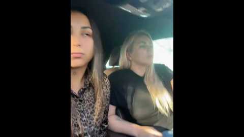 Media: keep_us_wild Stripchat 2024-11-18 05:20:00