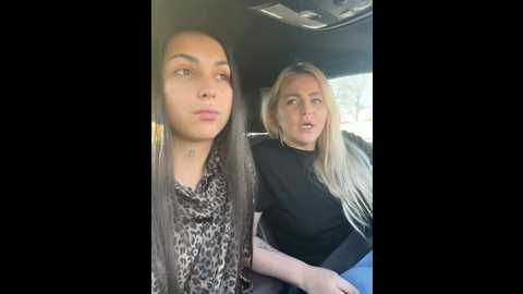 Media: keep_us_wild Stripchat 2024-11-18 05:36:00
