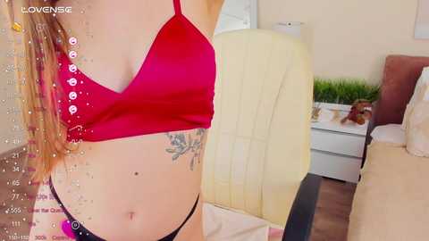 Media: mary_mey Stripchat 2024-11-18 20:01:00