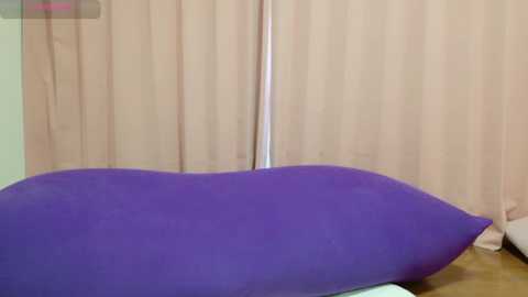 Media: sara_a_jp Stripchat 2024-11-18 05:05:00