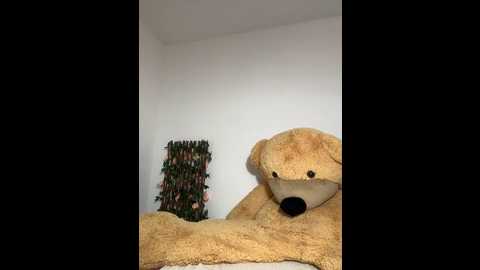 Media: sweetmuslim01 Stripchat 2024-11-18 20:41:00