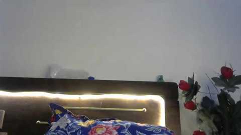 kaira_noughty @ stripchat on 20241119