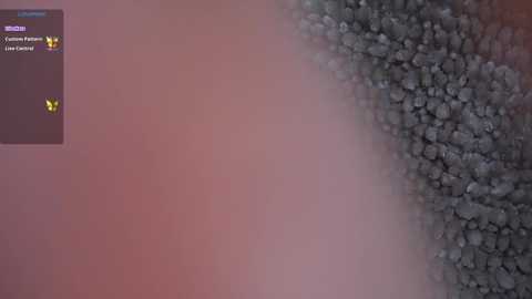 Media: nicdani_1 Stripchat 2024-11-19 02:34:00
