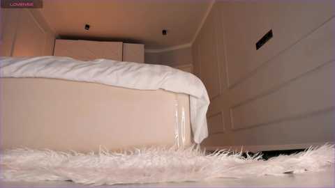Media: stellagracee Stripchat 2024-11-19 17:33:00