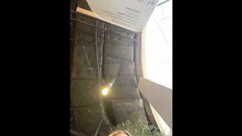 Media: suziemurray Stripchat 2024-11-19 10:13:00