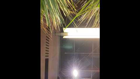 Media: suziemurray Stripchat 2024-11-19 11:27:00