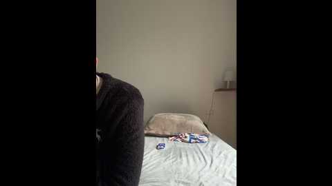 Media: couplepenetration Stripchat 2024-11-20 10:20:00