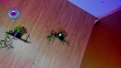 Media: hot_princess21 Stripchat 2024-11-20 08:57:00