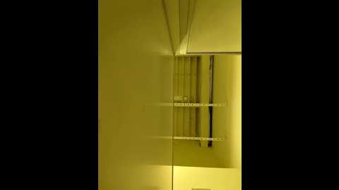 Media: morphine_666 Stripchat 2024-11-20 06:50:00