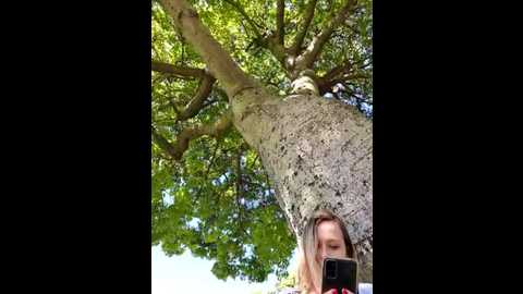 Media: public_katrisha Stripchat 2024-11-20 18:38:00