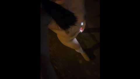 Media: clairewntr Stripchat 2024-11-21 22:28:00