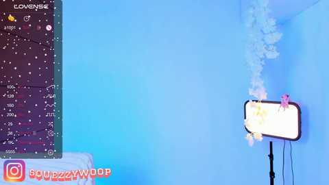 Media: kristina_murr Stripchat 2024-11-21 08:54:00