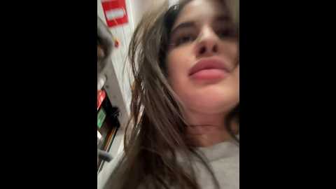Media: sophie_avory Stripchat 2024-11-21 18:48:00