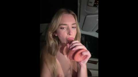 Media: evieevans Stripchat 2024-11-22 01:01:00