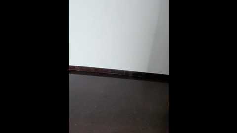 Media: indian_desi_wife Stripchat 2024-11-22 18:56:00