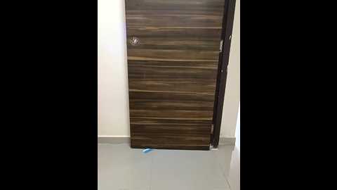 Media: kaamuk_shweta Stripchat 2024-11-22 11:29:00