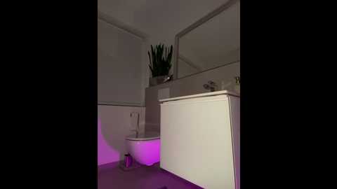 Media: lena_blom Stripchat 2024-11-22 20:24:00