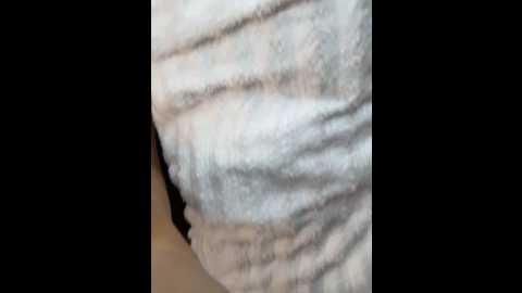Media: sssativa_model Stripchat 2024-11-22 05:19:00
