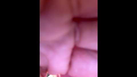 Media: charlotte_stevenss_ Stripchat 2024-11-23 15:32:00