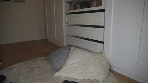 Media: hotbella_ Stripchat 2024-11-23 00:23:00