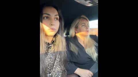 Media: keep_us_wild Stripchat 2024-11-23 06:10:00