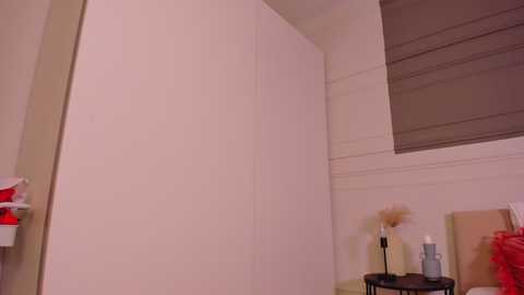 litttle_alice @ stripchat on 20241123