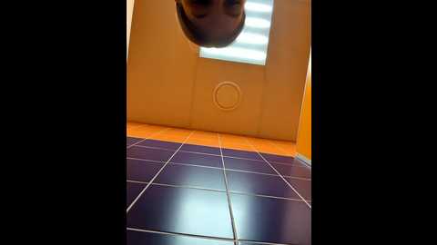 Media: morphine_666 Stripchat 2024-11-23 05:49:00