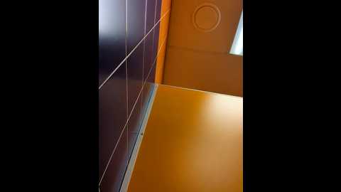 Media: morphine_666 Stripchat 2024-11-23 06:35:00