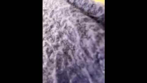 Media: suziemurray Stripchat 2024-11-23 10:04:00