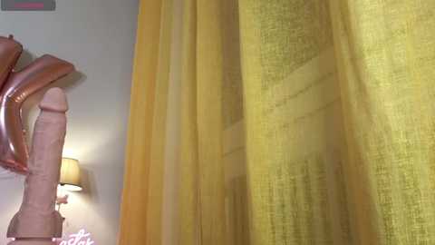 Media: eva_lastar Stripchat 2024-11-24 00:38:00