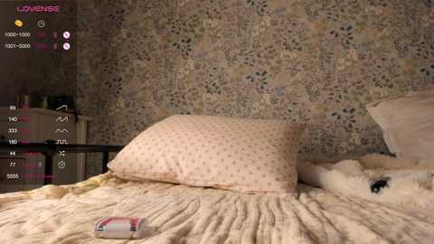 Media: idajonesy Stripchat 2024-11-24 00:35:00