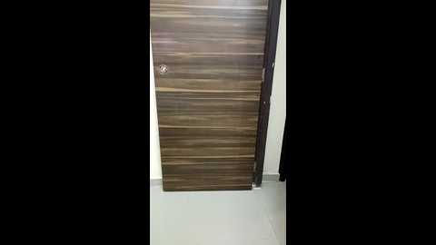 Media: kaamuk_shweta Stripchat 2024-11-24 15:57:00